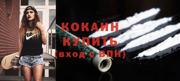 тгк Бикин