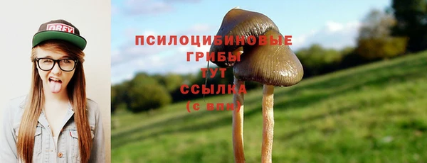 эйфоретик Нефтегорск