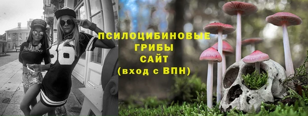 бошки Нея